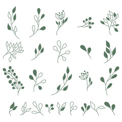 Vector set of diverse botanical elements. Collection of hand-drawn leaves, branches, and berries in green. Varied shapes and styles for natural designs. Floral vector illustration pack.