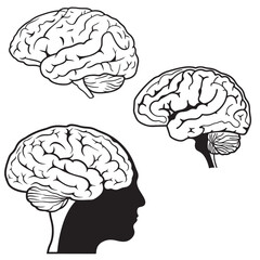 brain black vector silhouettes	