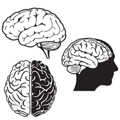 brain black vector silhouettes	