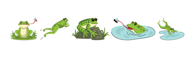 A cartoon illustration showcasing five frogs in different poses and activities. Ideal for children's books, educational materials, and nature-themed projects.