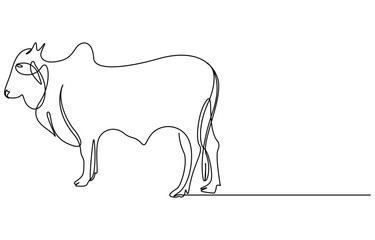 Eid ul adha concept cow Continuous one line art