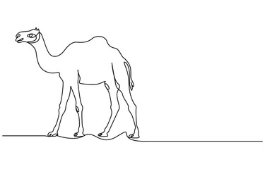 Fototapeta premium Eid ul adha concept camel Continuous one line art