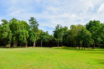 Beautiful morning light in public park with green grass field, Green beautiful park in morning, Garden Landscape With Cloudy sky, Sky and green grass field in city park.