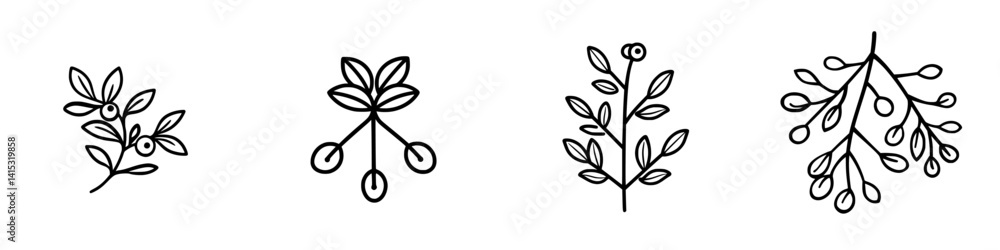 Poster vector illustration of four different botanical elements with minimalist design for creative project