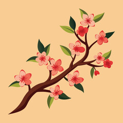 Cherry branch flowers  vector.