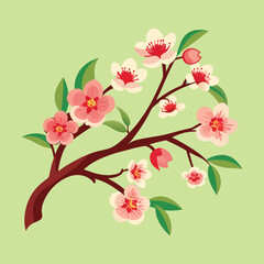 Cherry branch flowers  vector.
