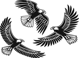 Black and white illustration of three soaring eagles with outstretched wings, symbolizing freedom, power, and nature, perfect for wildlife, bird, and nature-themed designs.