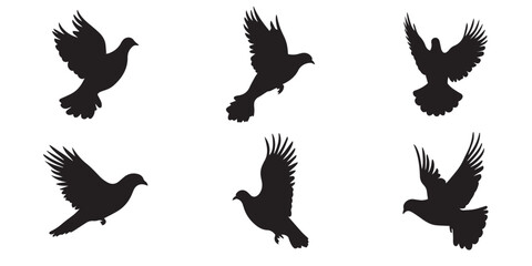 Obraz premium Bird Silhouette Vector Set – Black Bird Clipart Illustrations
