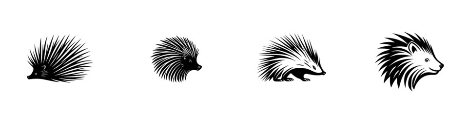 Vector illustration of various porcupine designs showcasing different styles and perspectives
