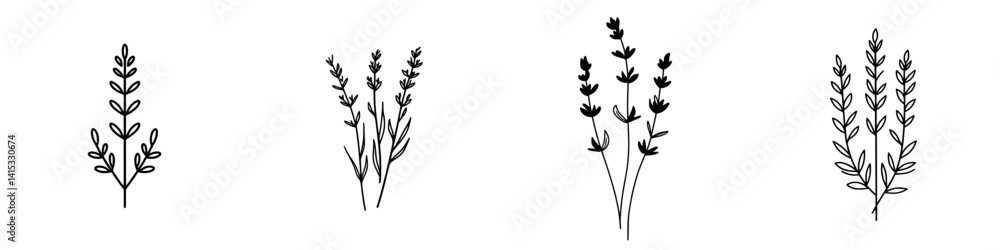 Poster elegant vector illustration of various herbal plants showcasing distinct shapes and details in a min