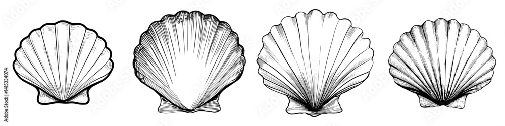 Poster illustrative vector design featuring various types of seashells arranged in a row with distinct shap