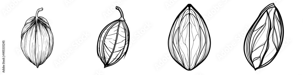 Aufkleber illustration of various cocoa pod shapes showcasing their unique designs and textures in a simple ve