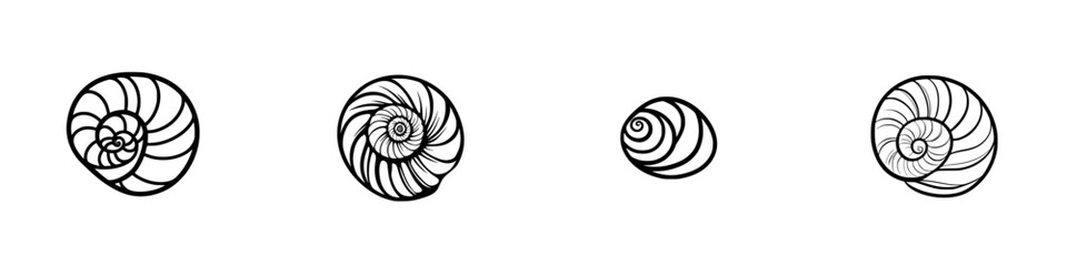 Obraz premium Vector illustration of various spiral shells showcasing unique patterns and shapes in a clean, minimalist design