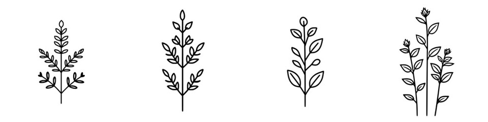 Vector illustration of various plant designs showcasing leaves and stems in a simple and elegant style for graphic use