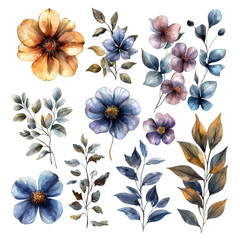 Watercolor floral design elements flowers leaves for wedding invitation art on transparent background