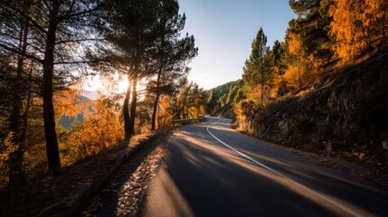 Fototapeta premium Scenic winding road through an autumn forest with sunlight streaming, symbolizing adventure and travel. Ideal for road trip promotions, nature photography, and scenic drives.