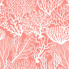 Cotton fabric Corals and algae vector seamless pattern on pink background. Sea coral reef polyps and seaweeds