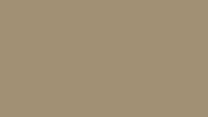 Solid muted taupe color swatch (1)