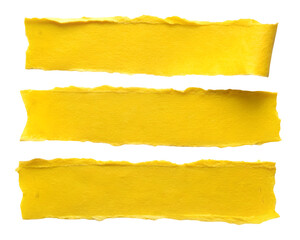 ripped paper torn edges strips isolated on a transparent background 