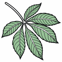 Horse Chestnut Leaf Vector Illustration Graphic Element Botanical Design Isolated On White