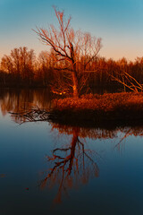 Winter sunset or sundowner view with reflections near Niederpoering, Isar, Oberpoering, Deggendorf,...