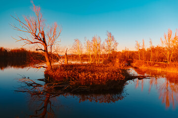 Winter sunset or sundowner view with reflections near Niederpoering, Isar, Oberpoering, Deggendorf,...