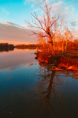 Winter sunset or sundowner view with reflections near Niederpoering, Isar, Oberpoering, Deggendorf,...