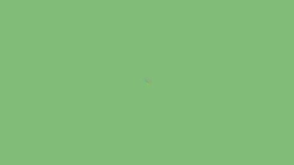 Solid, muted, light green background with faint, multicolored, blurry spot