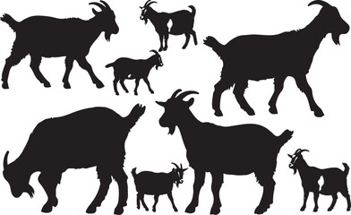 American Pygmy Goat Silhouette – Minimal Vector Illustration on White Background