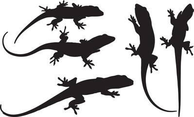 Anole Lizard Silhouette – Minimal Vector Illustration on White Background