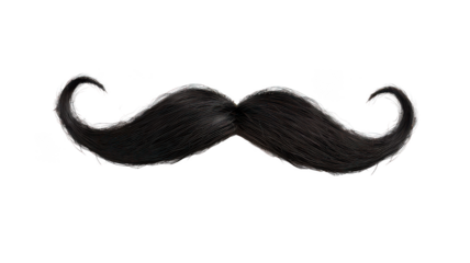 Buy realistic fake mustache online for costume party and theatrical use on transparent background