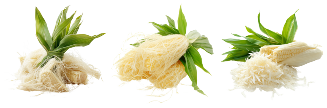 Set of A refreshing glass of corn juice in front of fresh yellow corn cobs on transparent png background. Ai generated