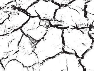 black and white background