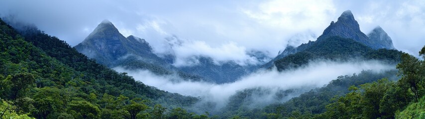 Obraz premium Majestic mountains enveloped in mist create a stunning panoramic view of a tranquil landscape.