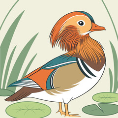 illustration of a mandarin-duck