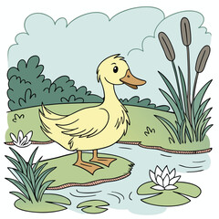  a pekin baby duck on the grass