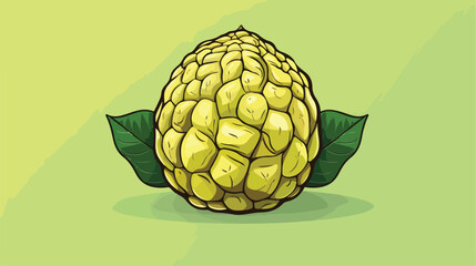 Fototapeta premium Custard Apple Fruit Vector Illustration Minimal Line Sketch Style