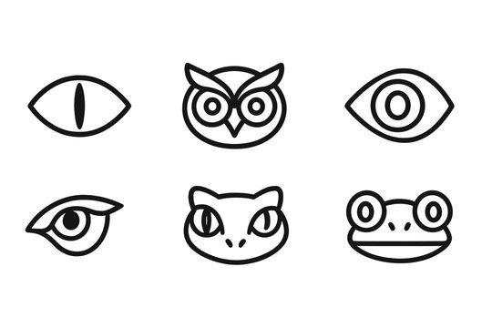 outline vector icons of animal eyes: cat eye, owl eye, reptile eye, fish eye, bird eye, lion eye, snake eye, frog eye. set of line style icons in a modern, minimalist design.