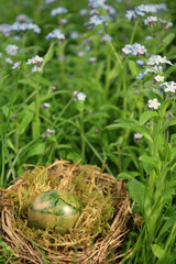 verstecktes osterei in einer blumenwiese