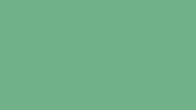 Solid sage green background (12)