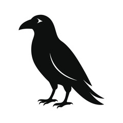 Obraz premium clean raven silhouette facing left logo icon on wh