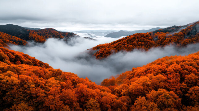 Vibrant autumn foliage blankets rolling hills, creating stunning landscape shrouded in mist and clouds