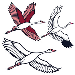 Minimalist Bird Silhouette and Colorful Exotic Bird Perched on Branch Collection.