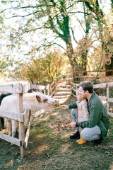 Little girl watches her dad squatting feeding carrots to a pony