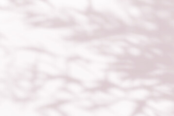 Pink brown shadow of olive tree plant on the wall. Sunlight effect shadow on the wall. Minimal blurred backdrop backgrounds. Summer tropical surface background.