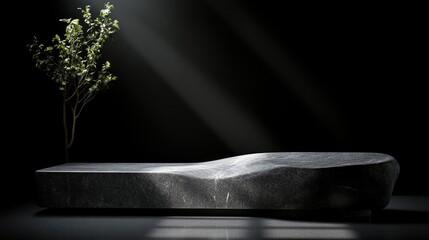 Dark stone platform with natural light