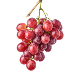 Small bunch of red grape hanging isolated on white background