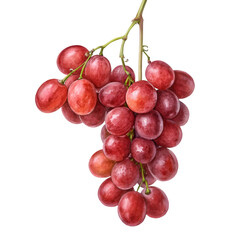 Small bunch of red grape hanging isolated on white background
