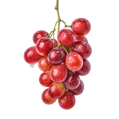 Small bunch of red grape hanging isolated on white background