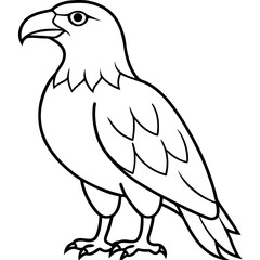 Clean & Sharp Eagle Line Art